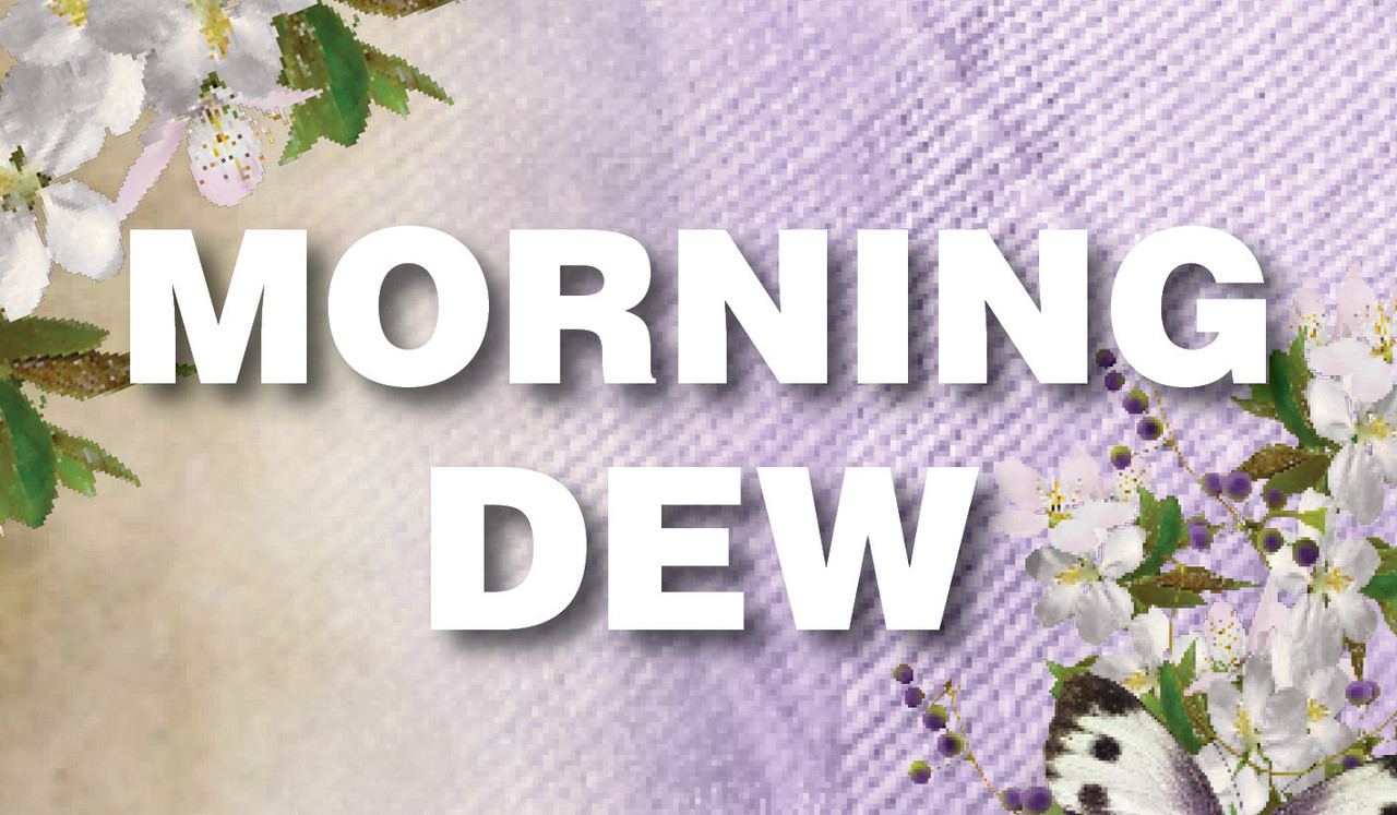 Morning Dew